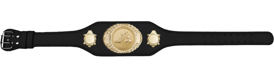 JIU JITSU CHAMPIONSHIP BELT-BUD295/G/JJG-4 COLOURS